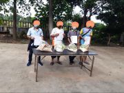 21836164712145288456753214907478783427879008n