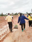 29318049813476169324290154086582190368823298n