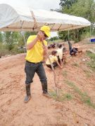 2932245251347614375762604463135276791998736n