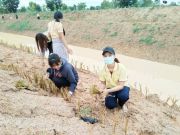 29325065913476170790956678714485034119734882n