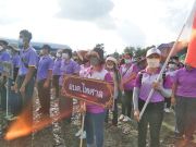 30557955413856245386282543994575695143585161n