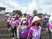 30562817813856215252952224808411983895249610n