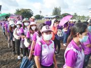 30564308413856214819618936540528492157584740n