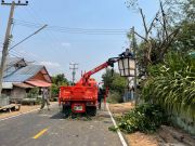 16480983111392300298718701281230743121611864n